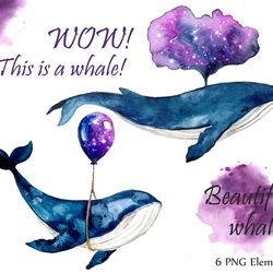 Watercolor Whale postcard clipart. Whale art sublimation. Ocean art png. Whale illustrartion. Humpback whales and starry