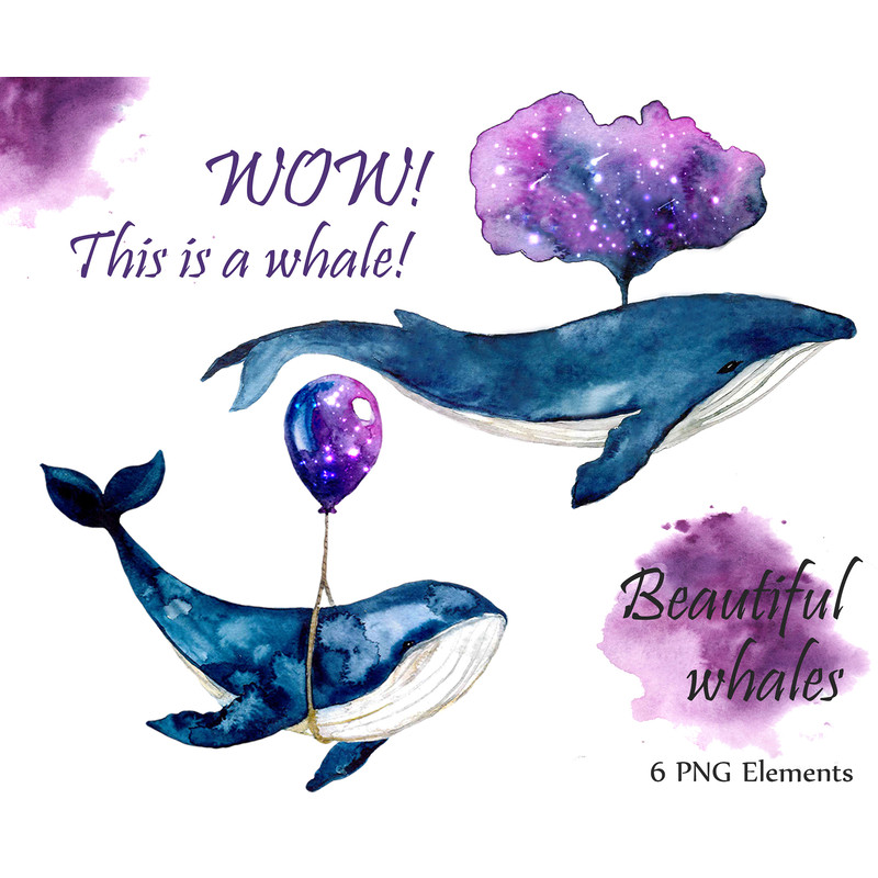 Watercolor whale print .jpg