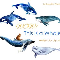 watercolor ocean illustartion. watercolor clipart. cute whale postcard. sea animals illustartions. whale print