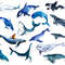 Whale set.jpg