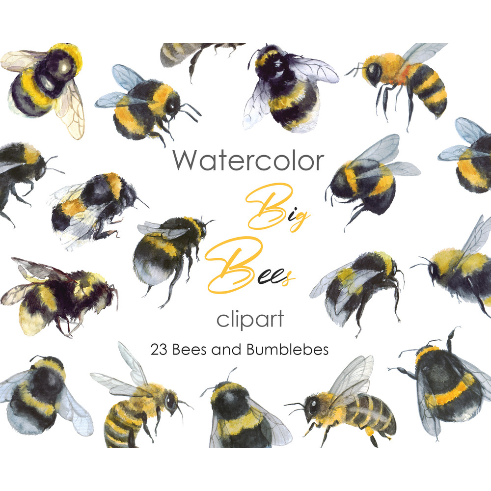 Watercolor bee .jpg