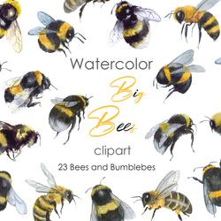 Bee clipart Watercolor insect art. Queen bee clipart Bumble bee postcard. Watercolor insects, little bee. Hand drawn