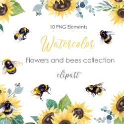 Watercolor Sunflower postcadrd. Watercolor Clipart. Bumblebee clipart. Bee Png. Sunflower illustration. Insect png