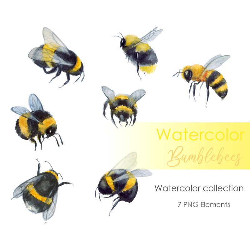 Watercolor bee .jpg