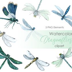 Watercolor dragonfly postcard. Insect clipart. Dragonfly Clipart Digital Dragonflies. Green dragonfly illustartions