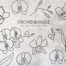 Orchid svg tropical flower Orchid branch Orchid bundle svg wildflower cut file spring floral svg files for cricut png