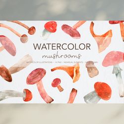 Watercolor Fall Mushrooms Clipart / Autumn Clipart / Woodland Clipart / Forest Mushrooms PNG