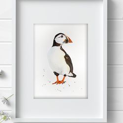 Puffin 8x11 inch original watercolor bird painting art by Anne Gorywine