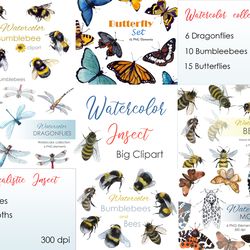 Watercolor-clipart-Big-watercolor-set-of-insect-clipart-Watercolor-clipart-Big-watercolor-set-of-insect-clipart-Bee-png