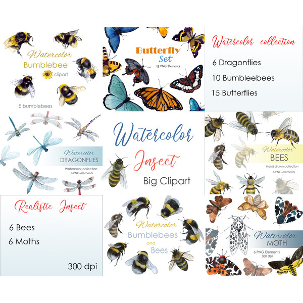 Watercolor Insect set .jpg