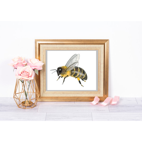 watercolor bee .jpg