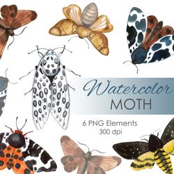 Watercolor moth postcart. Moth Boho butterfly set. Moths clip art. Moth postcard illustartion. Moth art postcard png