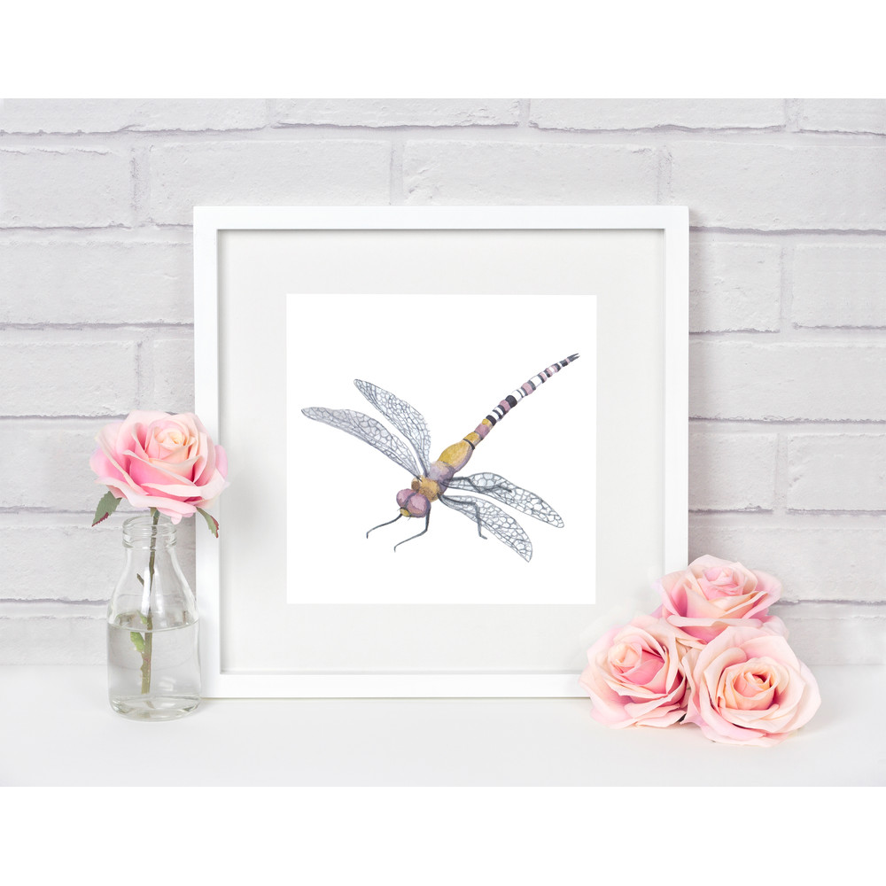 dragonfly print.jpg