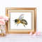 watercolor bee .jpg