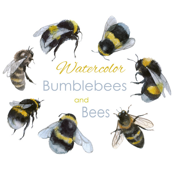 watercolor bumblebee.jpg