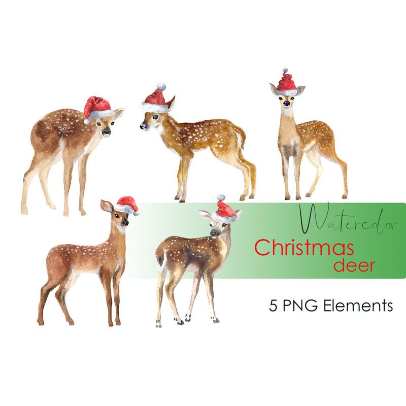 watercolor deer .jpg