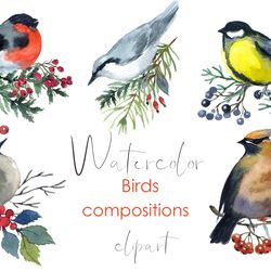 Watercolor christmas Clipart Winter Birds clipart collection. Watercolor Hand drawn cute clipart themed with birds