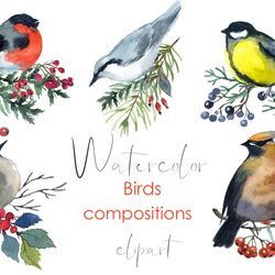 watercolor christmas clipart winter birds clipart collection. watercolor hand drawn cute clipart themed with birds