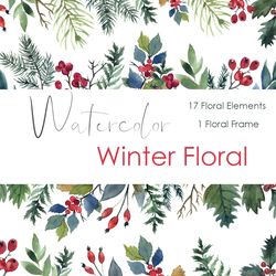 watercolor winter wreath holiday png. watercolor hand drawn christmas clipart with with spruce branches, berries, amelia