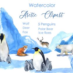 Watercolor holiday postcard. Arctic animal Winter clipart png. Watercolor winter print. Penguin illustration
