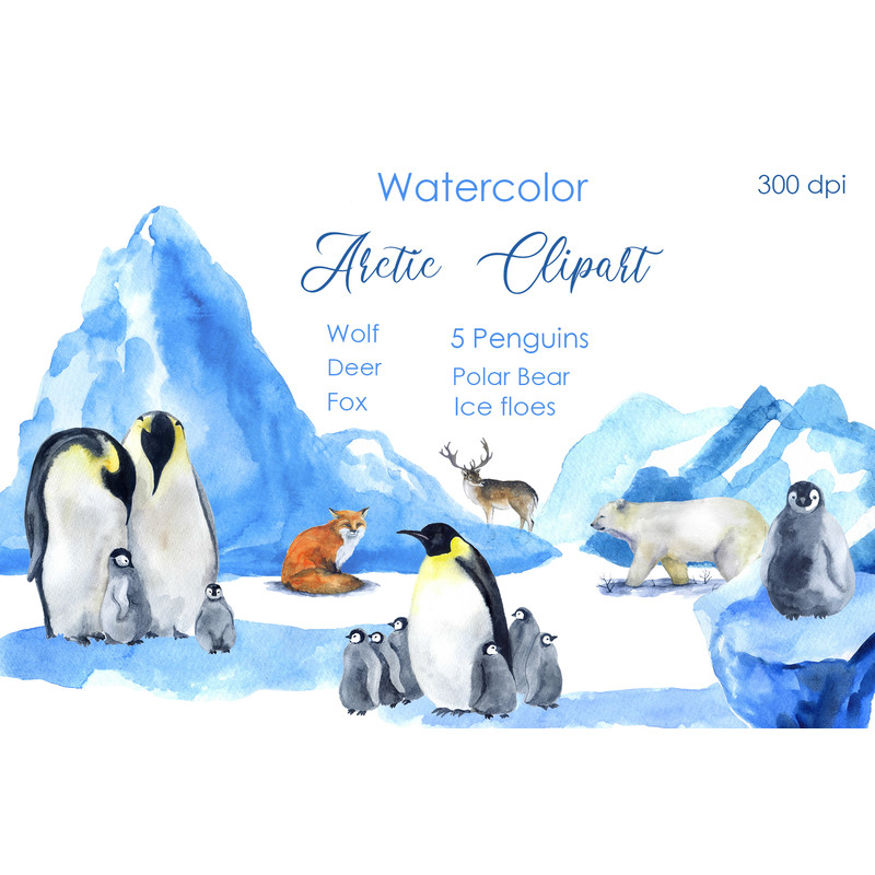 watercolor arctic animals.jpg