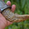 Handmade Knife, Custom Handmade Knife 7.jpg