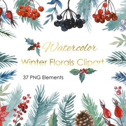 watercolor christmas winter florals clipart. merry christmas. new year holiday greenery leaves and flowers clip art. png
