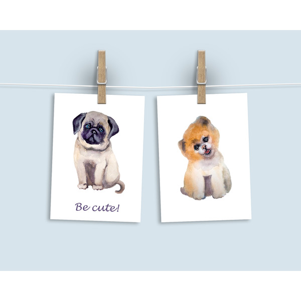 dog postcards.jpg