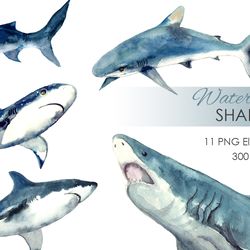 Watercolor Clipart. Watercolor Shark Clipart. Baby shark. Fish clipart animals. Poster, scrapbooking, birthday party