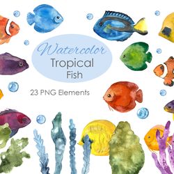 Watercolor Clipart. Colorful fish. Fish clipart. Hand drawn cute clipart tropical fish themed with colorful fish