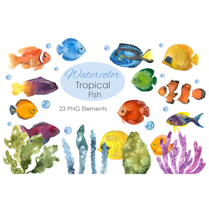 tropical fish.jpg