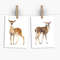 deer postcard.jpg