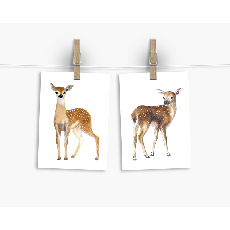deer postcard.jpg