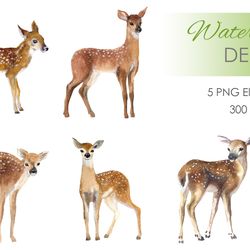 Watercolor deer Clipart. Woodland animal clipart. Watercolor deer Clipart. Woodland animal clipart.  Hand drawn cute png