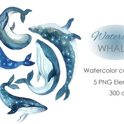 Watercolor Clipart. Whale Clipart. Ocean Clipart. Hand drawn cute clipart themed with humpback whales and starry sky.