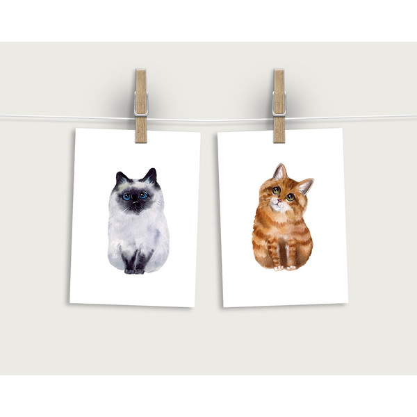 cat postcard.jpg