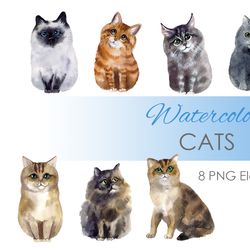 Watercolor Clipart. Cat Clipart. Digital pets clipart. Poster. Hand drawn cute cats clipart-themed with 8 cats.
