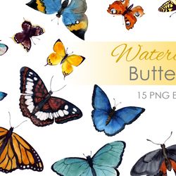 Watercolor Clipart. Watercolor digital clipart. Butterfly png. Butterfly Clip Art. Insect clipart. Tropical butterflyes