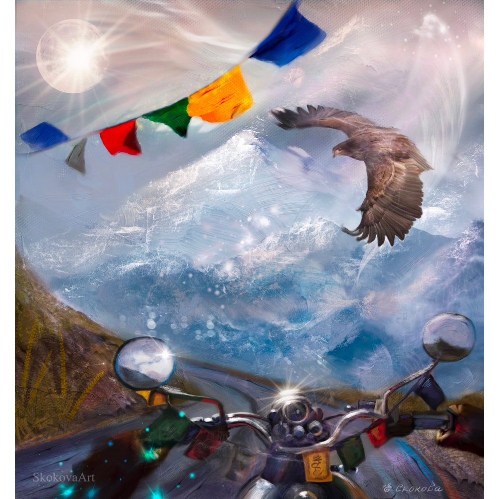 travel bike himalayas