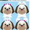 Shih Tzu girl.jpg