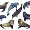 ocen animals set.jpg