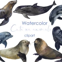 Watercolor illustrations. sea animals clipart. Dolphins and fur seals png. Watercolor postcard with polar clipart png
