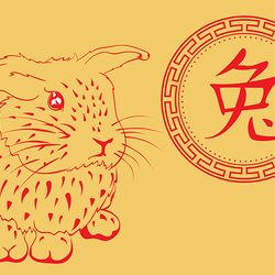 Chinese symbol and rabbit card line art