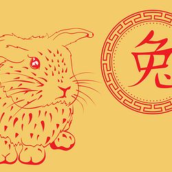 chinese symbol and rabbit card line art