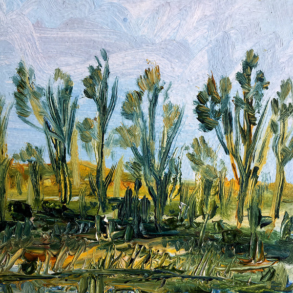 Trees and River 2.jpg
