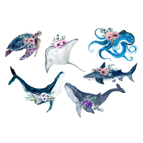ocean animals set.jpg