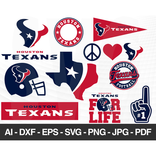 Houston Texans S021.jpg