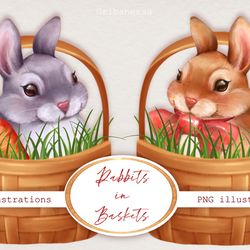 rabbits in baskets. png clipart. bunny png clipart