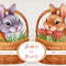 Rabbits in Baskets B01.jpg