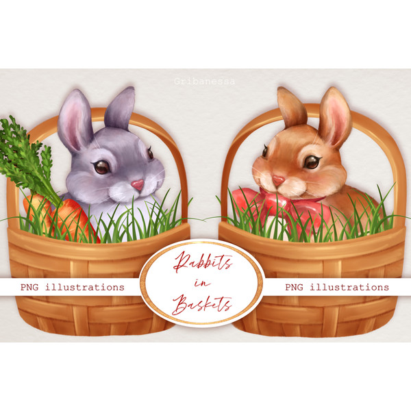 Rabbits in Baskets B01.jpg